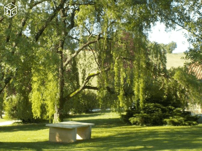 Domaine — Domaine des Fours à Chaux, gîtes Périgord Noir, Castels-et-Bézenac